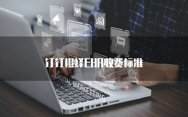 钉钉橙蜂EHR收费标准