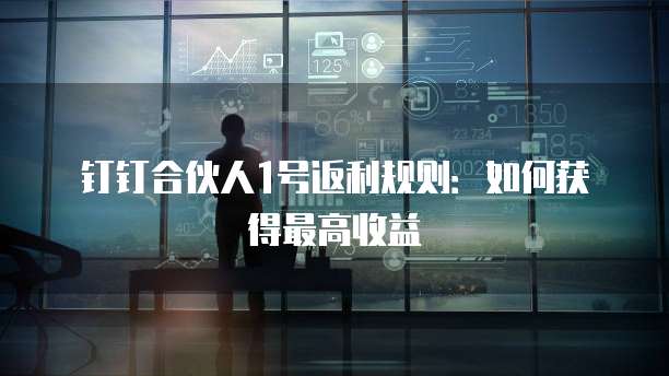 钉钉合伙人1号返利规则:如何获得最高收益