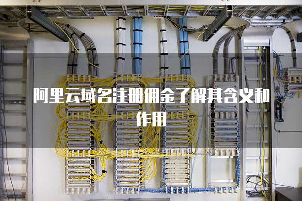阿里云域名注册佣金了解其含义和作用
