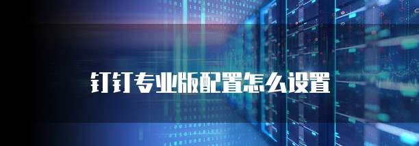 钉钉专业版配置怎么设置