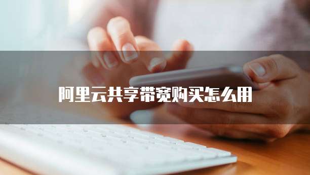 阿里云共享带宽购买怎么用