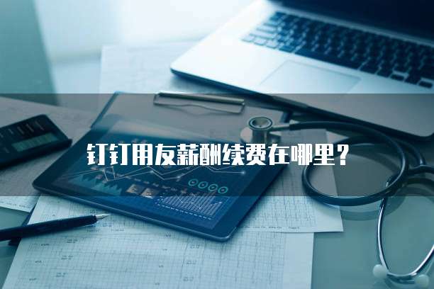 钉钉用友薪酬续费在哪里?