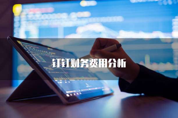 钉钉财务费用分析