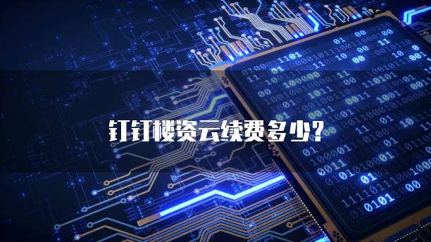 钉钉楼资云续费多少？