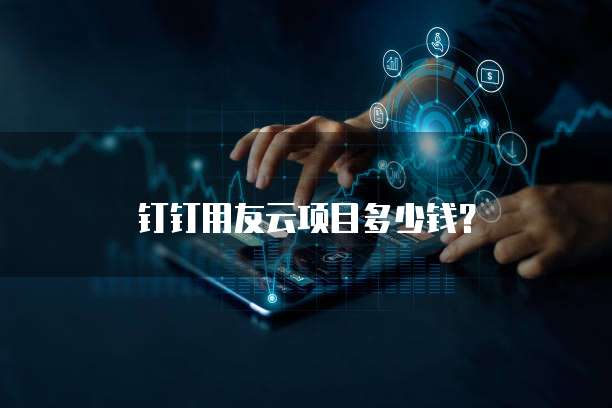 钉钉用友云项目多少钱？