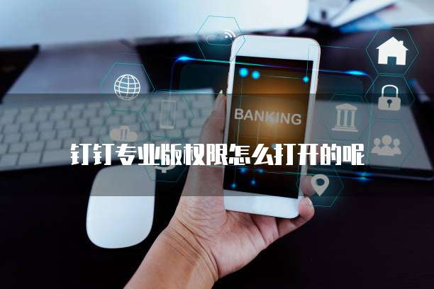 钉钉专业版权限怎么打开的呢