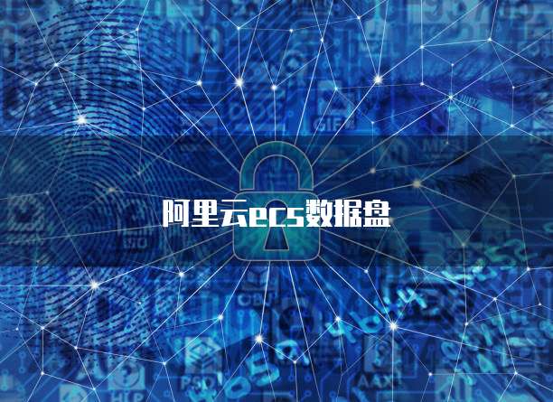 阿里云ecs数据盘
