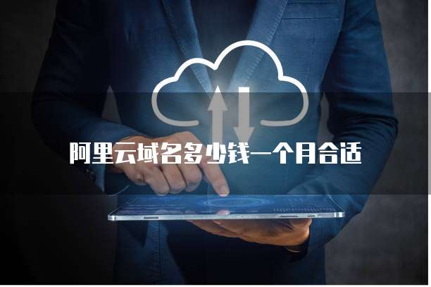 阿里云域名多少钱一个月合适