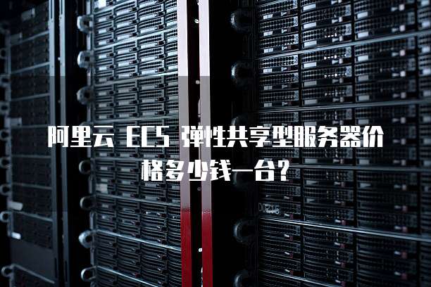 阿里云 ECS 弹性共享型服务器价格多少钱一台?