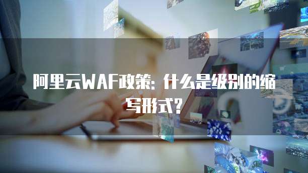 阿里云WAF政策: 什么是级别的缩写形式?