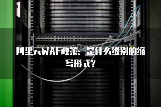 阿里云WAF政策：是什么级别的缩写形式？