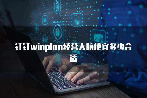 钉钉winplan经营大脑便宜多少合适