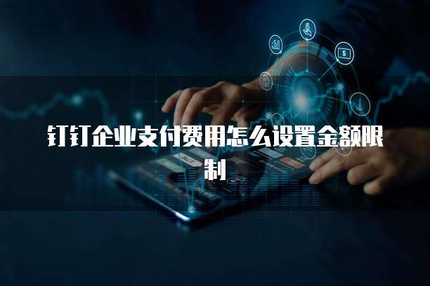 钉钉企业支付费用怎么设置金额限制