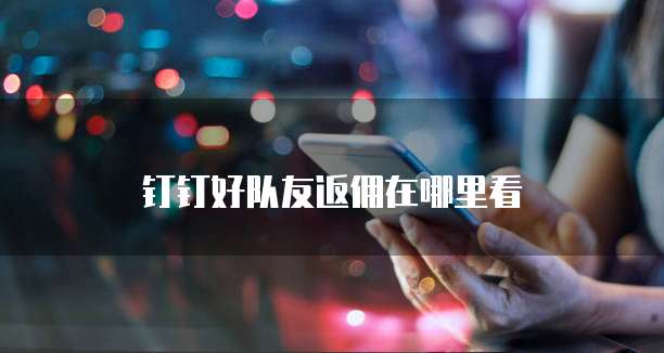 钉钉好队友返佣在哪里看