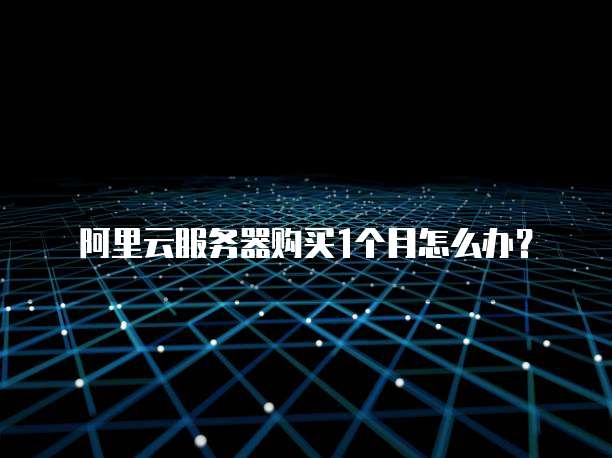 阿里云服务器购买1个月怎么办?
