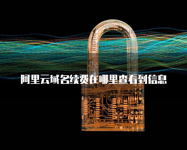 阿里云域名续费在哪里查看到信息