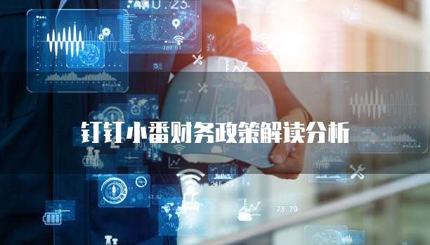 钉钉小番财务政策解读分析