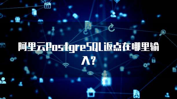 阿里云PostgreSQL返点在哪里输入？