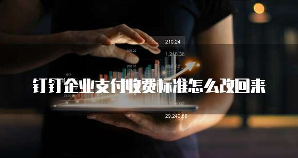 钉钉企业支付收费标准怎么改回来