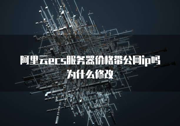 阿里云ecs服务器价格带公网ip吗为什么修改