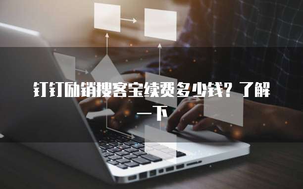 钉钉励销搜客宝续费多少钱？了解一下