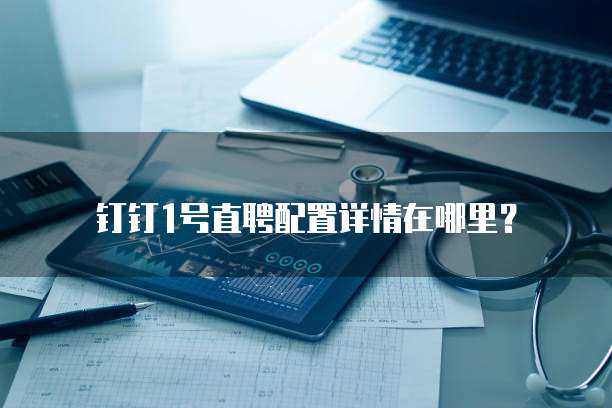 钉钉1号直聘配置详情在哪里？