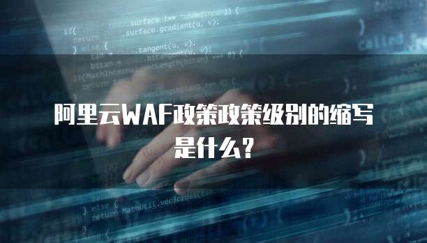 阿里云WAF政策政策级别的缩写是什么？