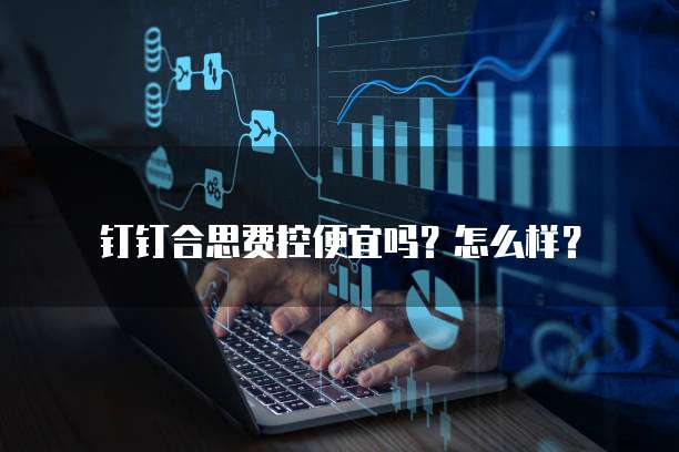 钉钉合思费控便宜吗？怎么样？