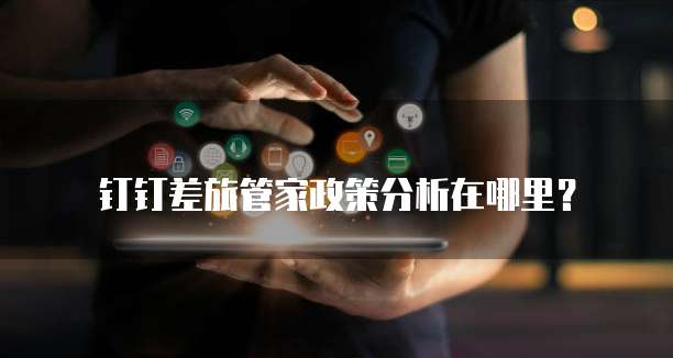 钉钉差旅管家政策分析在哪里?