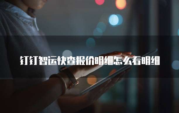 钉钉智运快查报价明细怎么看明细