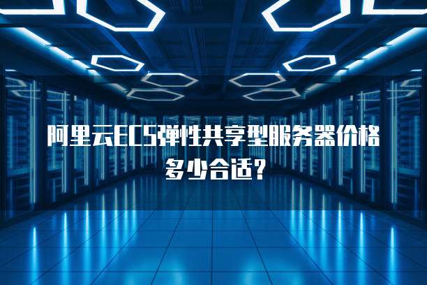 阿里云ECS弹性共享型服务器价格多少合适？