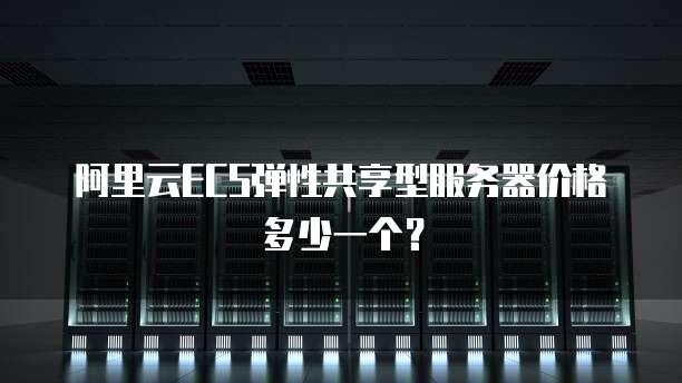 阿里云ECS弹性共享型服务器价格多少一个？