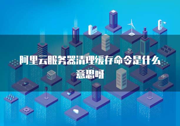 阿里云服务器清理缓存命令是什么意思呀