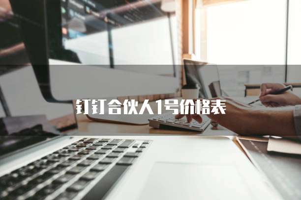 钉钉合伙人1号价格表