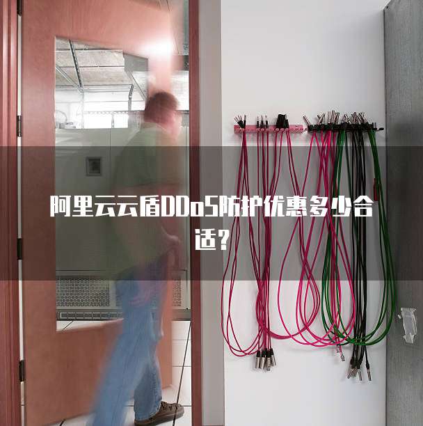 阿里云云盾DDoS防护优惠多少合适?