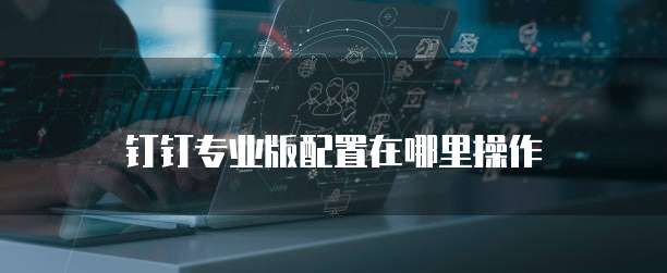 钉钉专业版配置在哪里操作