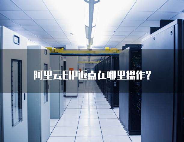 阿里云EIP返点在哪里操作？