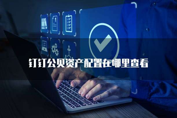 钉钉公贝资产配置在哪里查看
