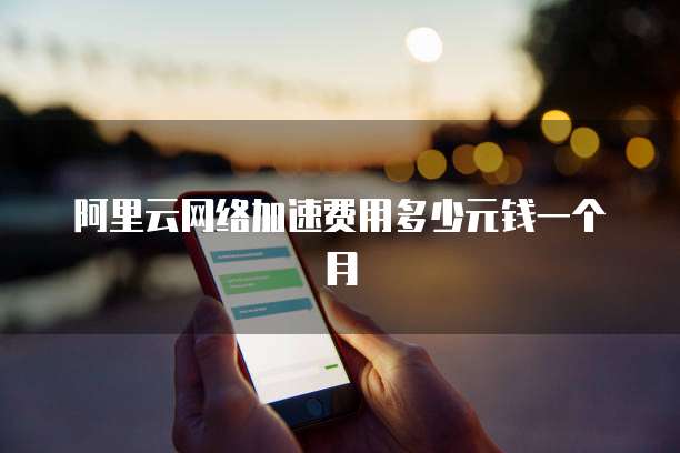 阿里云网络加速费用多少元钱一个月