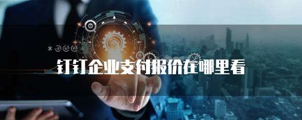 钉钉企业支付报价在哪里看