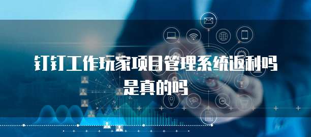钉钉工作玩家项目管理系统返利吗是真的吗