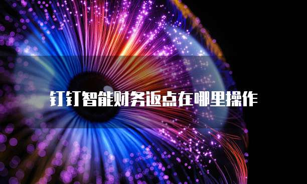 钉钉智能财务返点在哪里操作