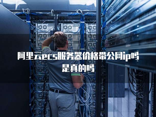 阿里云ecs服务器价格带公网ip吗是真的吗