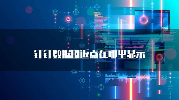 钉钉数据BI返点在哪里显示