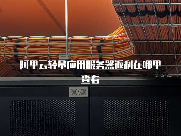 阿里云轻量应用服务器返利在哪里查看