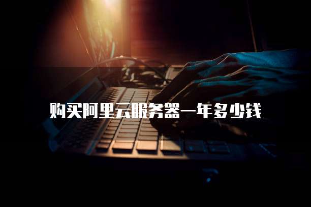 购买阿里云服务器一年多少钱