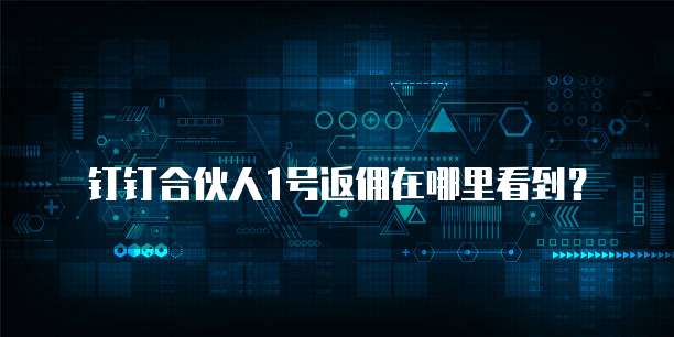 钉钉合伙人1号返佣在哪里看到?
