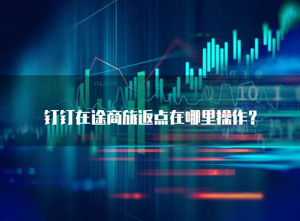 钉钉在途商旅返点在哪里操作？