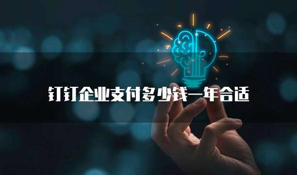 钉钉企业支付多少钱一年合适