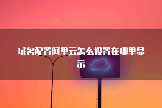 域名配置阿里云怎么设置在哪里显示
